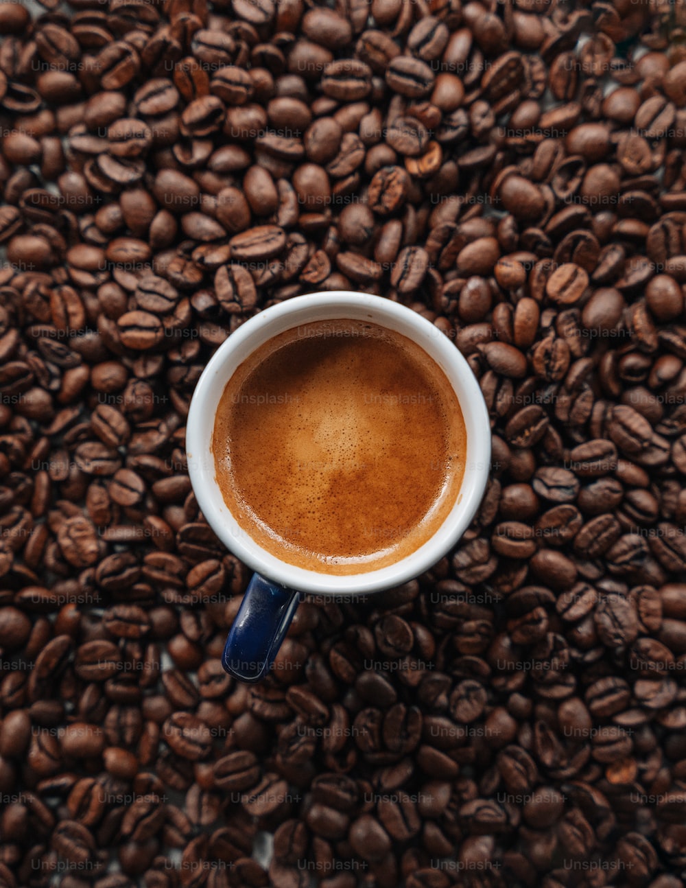 beans in starbucks cup STARBUCKS Espresso Coffee Whole Bean, Shelf Stable Size: 5 lb bag Best –  Odd Lots Market