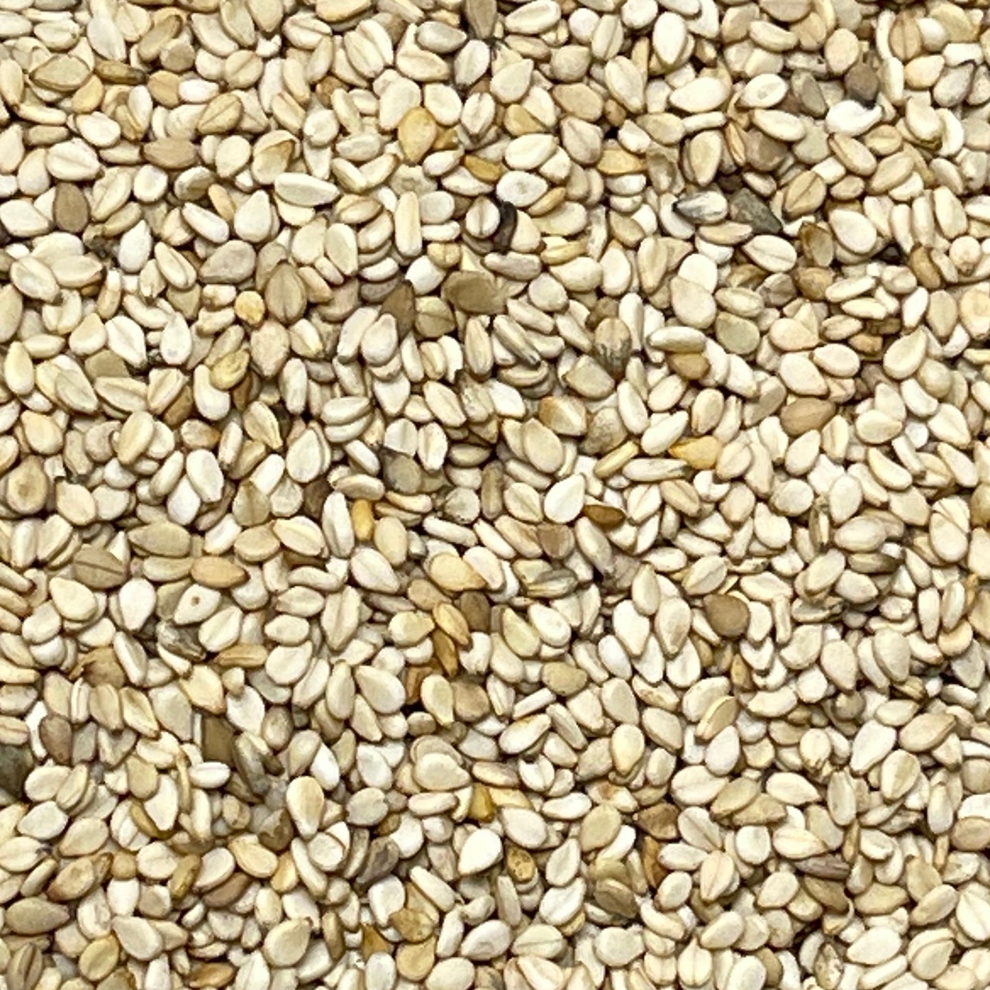 Gulu Natural Organic Sesame Seed BULK 55.12 lbs Shelf Stable (as-is)